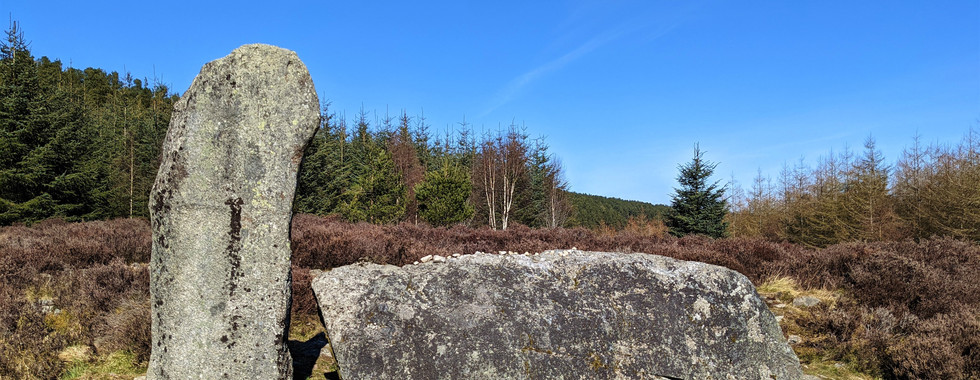 Whitehill Stone Circle