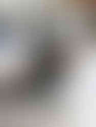 Sitzender Keiler, Top Attractions to Visit in Munich