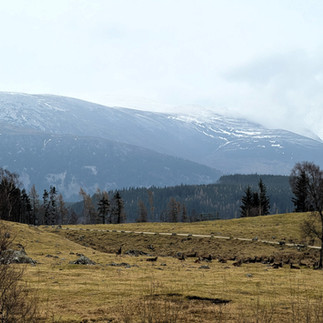 Highland Wildlife Park