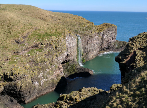 Welcome to Our Backyard – The Mearns Coast
