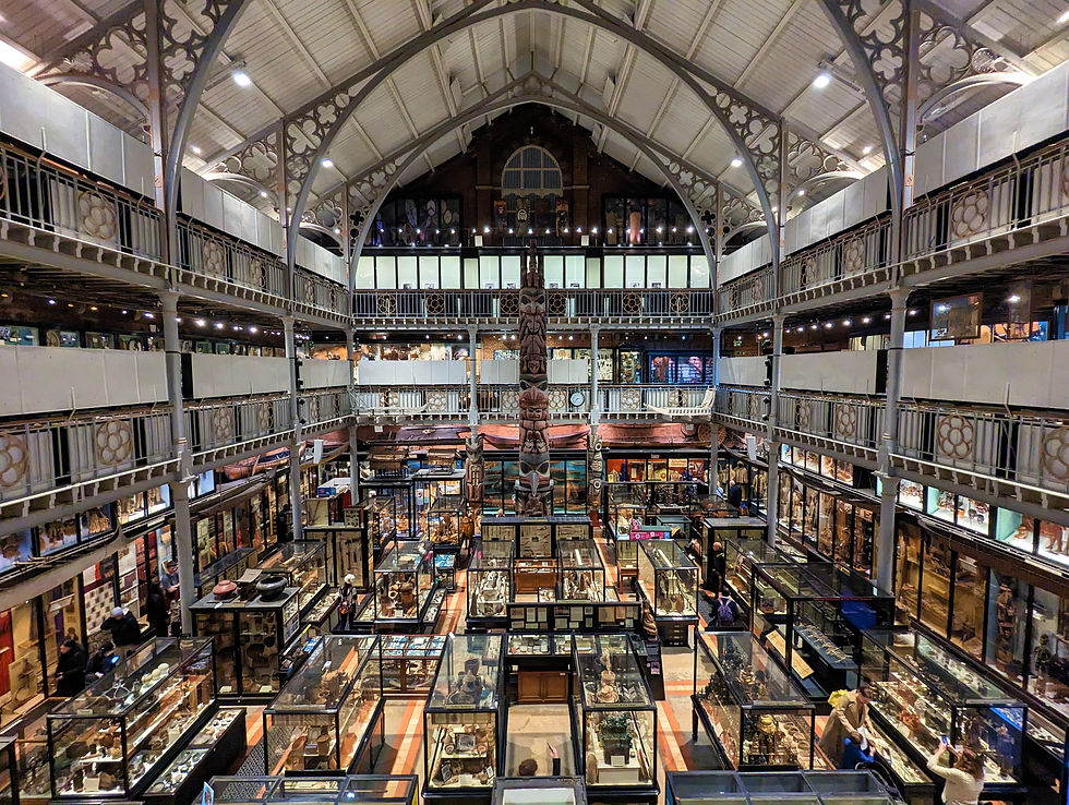 A large, ornate museum hall with multiple glass display cases showcasing artifacts. The interior features decorative ironwork and high ceilings. Dinosaur days out in the UK.