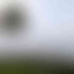 View from Jagmandir of Lake Pichola and the CIty Palace in the background, making it one of the attractions you should visit in Udaipur, India