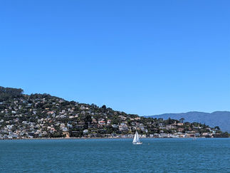 A headland jutting out into the bay, covered in hundreds of houses, spotted during a family day out in Marin County