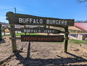 Boss Bison Ranch, Attractions to Visit in Harrison County, Ohio