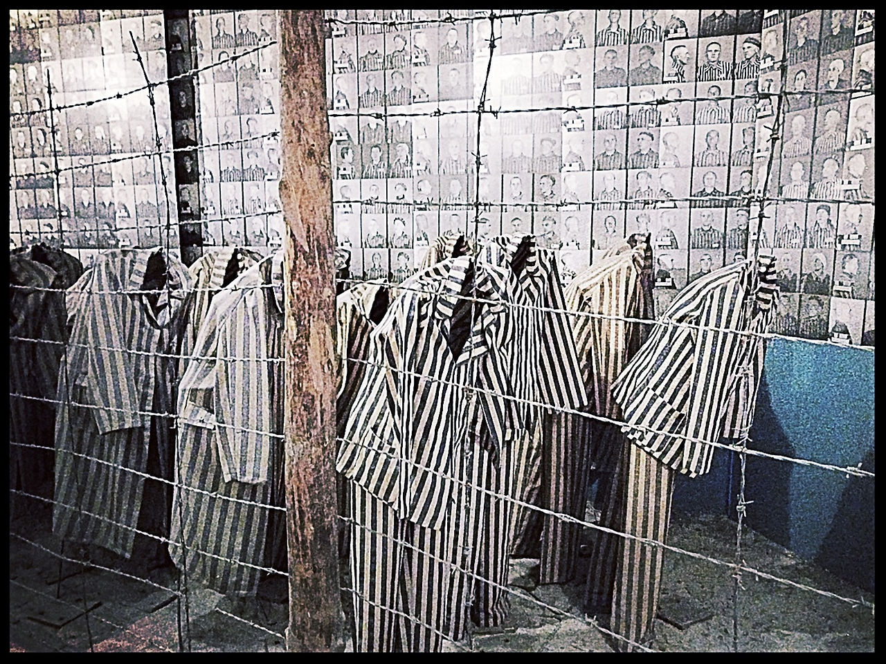 Auschwitz–Birkenau