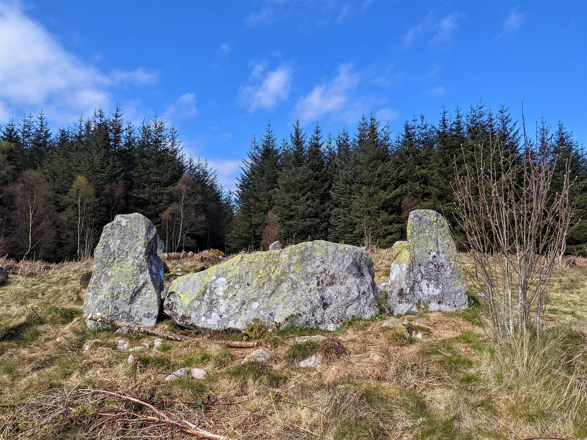 Clune Stone Circle