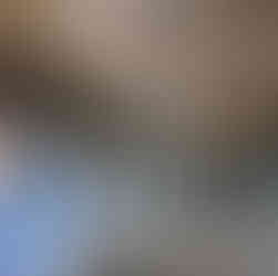 Neue Residenz Bamberg, 5 Attractions You Should Visit in Bamberg, Bavaria