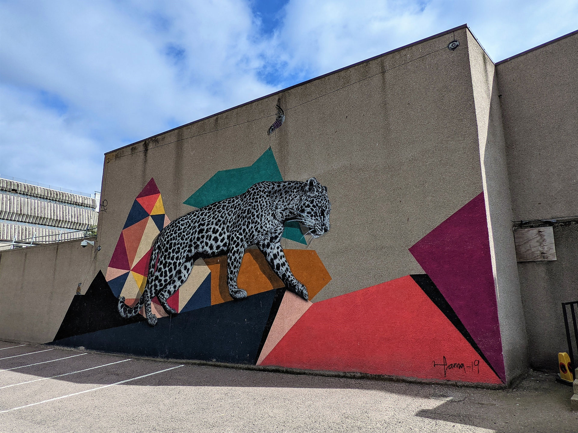 One of the Aberdeen street art murals on a building depicting a leopard and colourful geometric patterns.