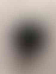 Historical Museum Bamberg, 5 Attractions You Should Visit in Bamberg, Bavaria