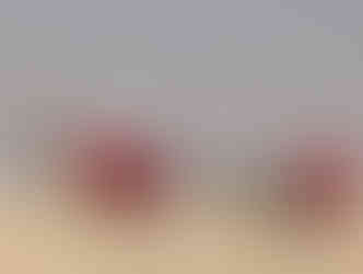 Things to See in Cairo – The Pyramids of Saqqara