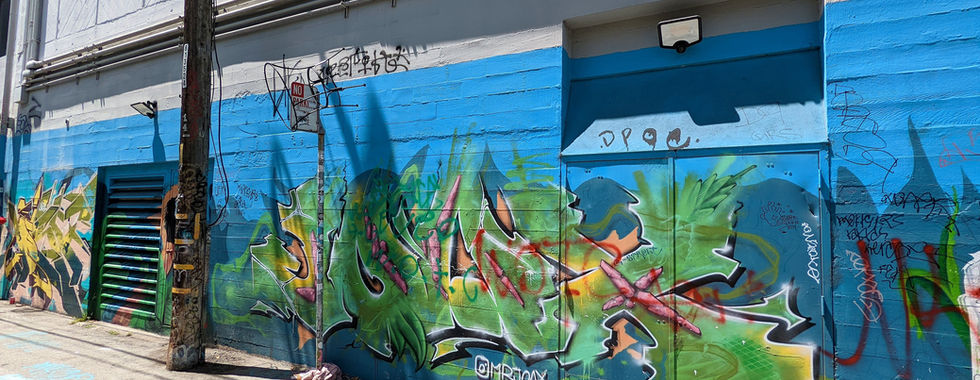 Orange Alley, Mission District, San Francisco Street Art & Murals