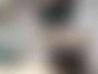 Colourful street art of a royal procession, making it one of the attractions you should visit in Udaipur, India