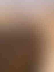 Things to See in Cairo – The Pyramids of Saqqara