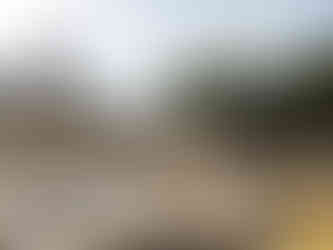 A sunny courtyard surrounded by trees, making it one of the attractions you should visit in Udaipur, India