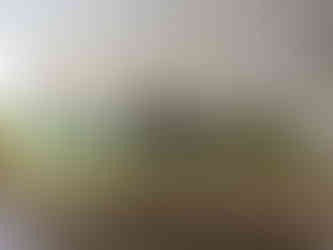 Dev Niwas hotel. Frescoe of a marching army with an elephant, making it one of the attractions you should visit in Bundi, India