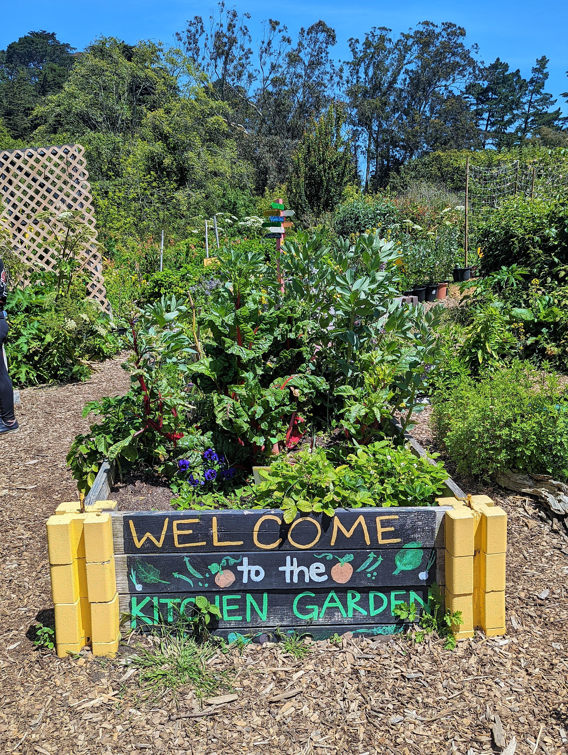 The Children's Garden, San Francisco Botanical Gardens