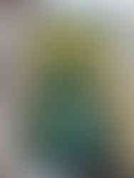 Helsinki Congress Paasitorni, Where to Find Helsinki's Art Nouveau Architecture