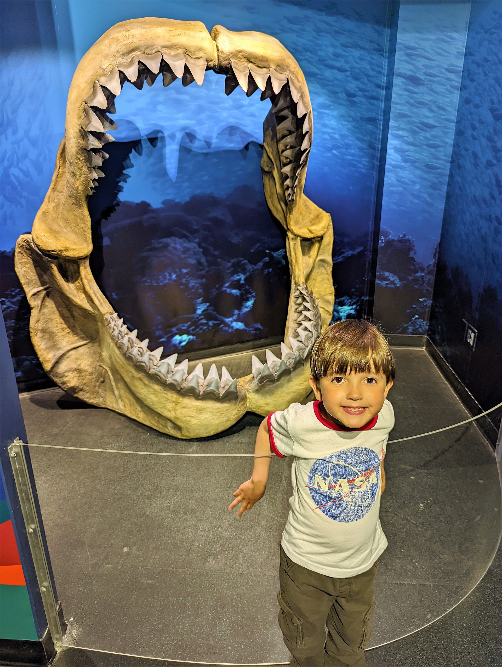 Aquarium of the Bay 