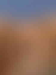  The Great Temple of Abu Simbel in Egypt.