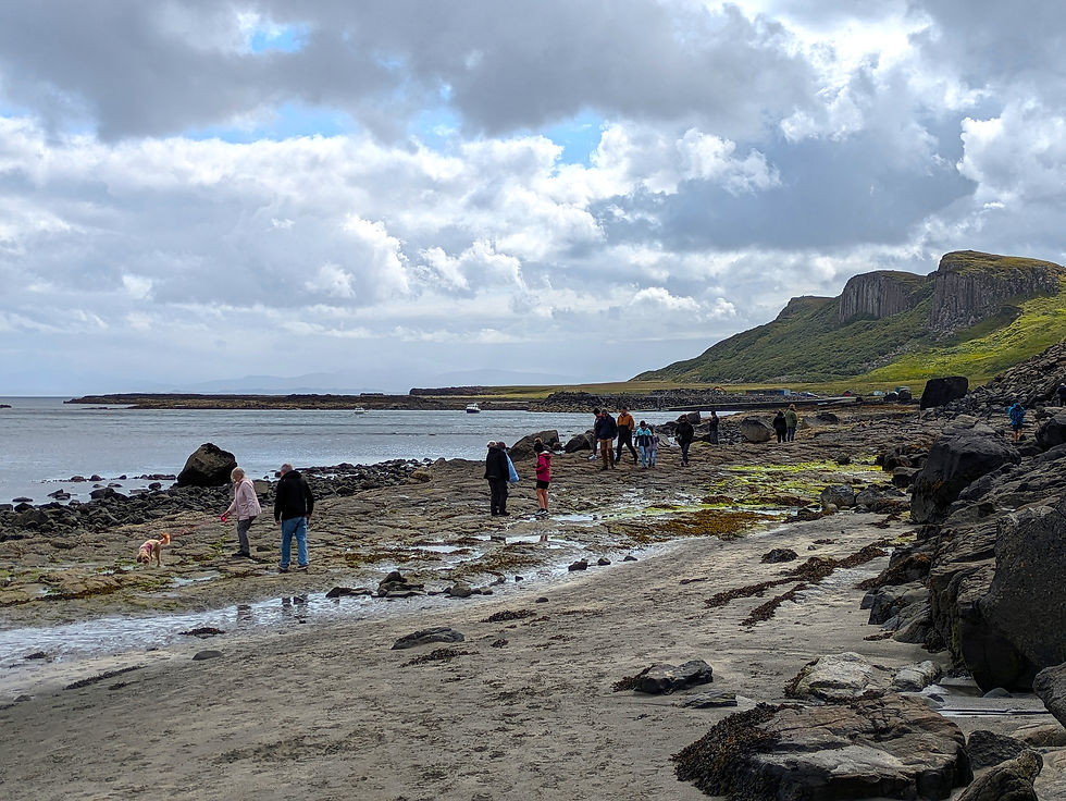 People walking on a rocky shoreline with a dog under a cloudy sky. Green hills and cliffs are in the background, creating a serene atmosphere. Dinosaur days out in the UK.