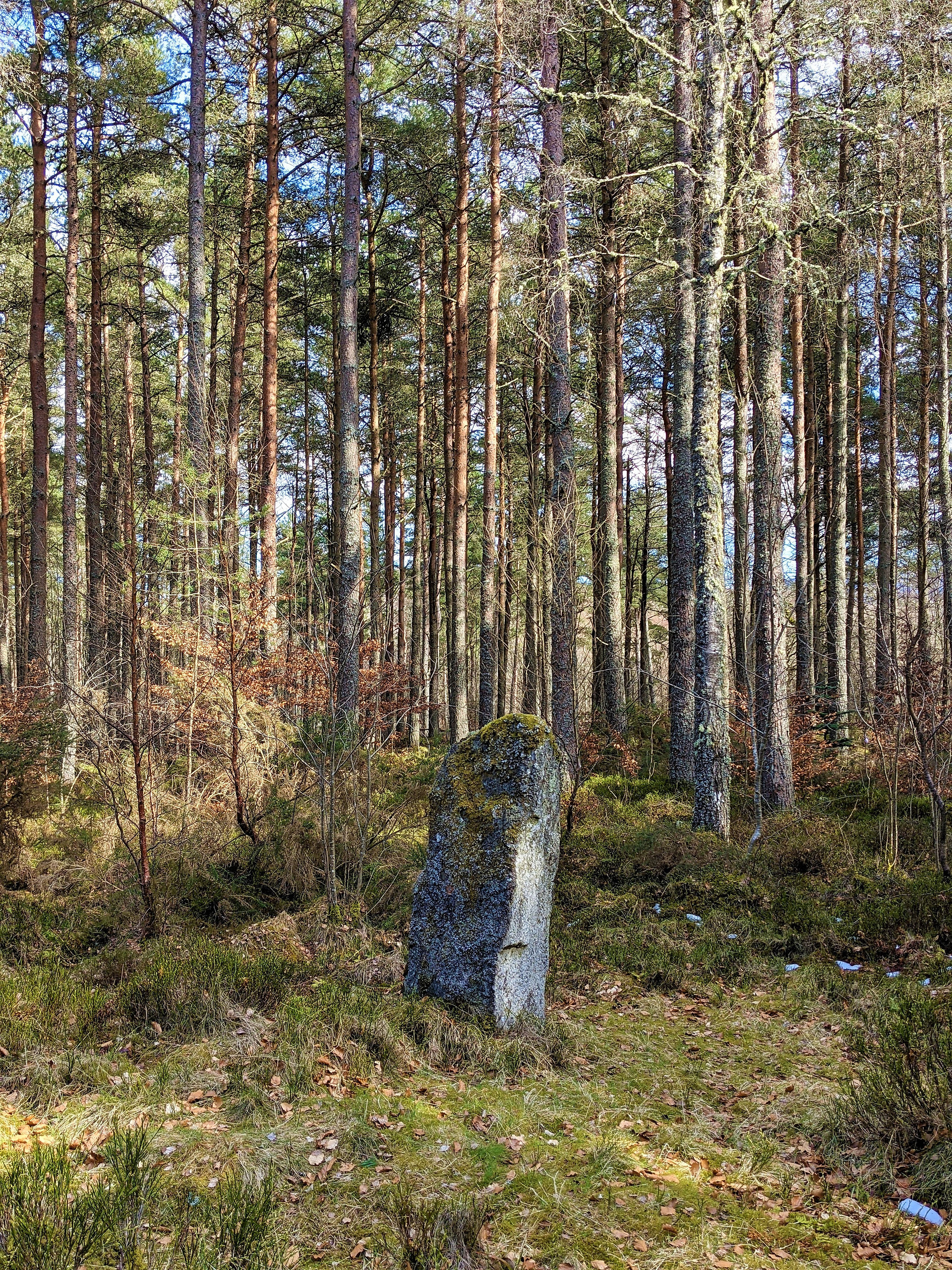 Cothiemuir Stone Circle