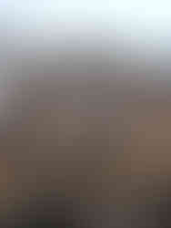 Ullanlinna District, Where to Find Helsinki's Art Nouveau Architecture