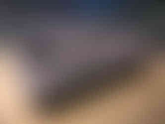 Crocodile Mummy Museum