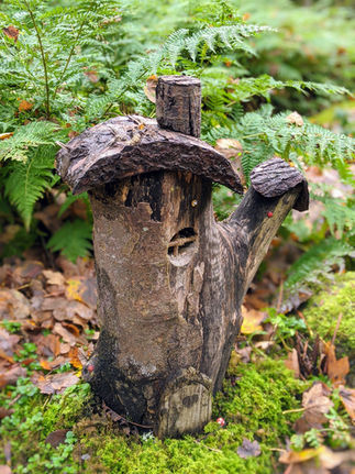 Latheronwheel Fairy Woods