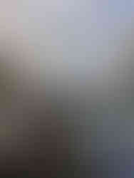 Pinakothek der Moderne, Top Attractions to Visit in Munich