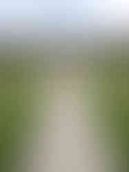 Best Castles to visit in Aberdeenshire, Balmoral Castle