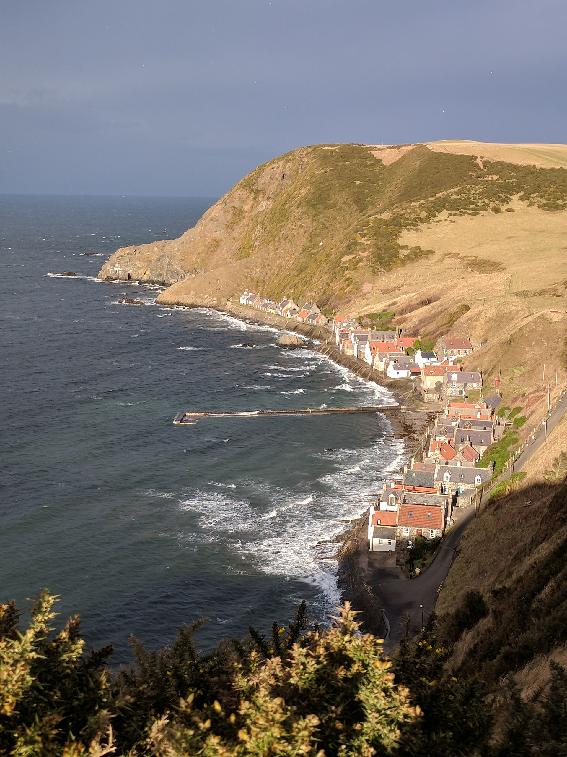 Crovie