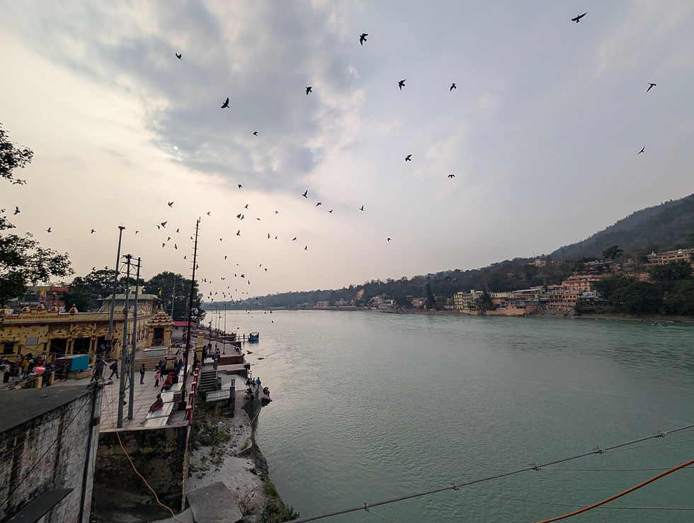 River scene with birds flying overhead, people on a riverside promenade, and colorful buildings along the hillside under a cloudy sky. Places to see in rishikesh.