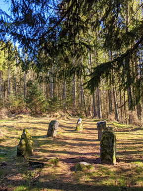 A small ancient stone circle in the middle of a forest making this a perfect place to find the enchanted fairies of Scotland