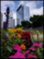 Discovery Green, Houston