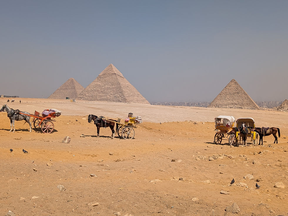Horses with carts on desert near pyramids under clear sky. Travelers are resting. The scene is calm and historic with a sandy foreground. The Pyramids of Giza Egypt