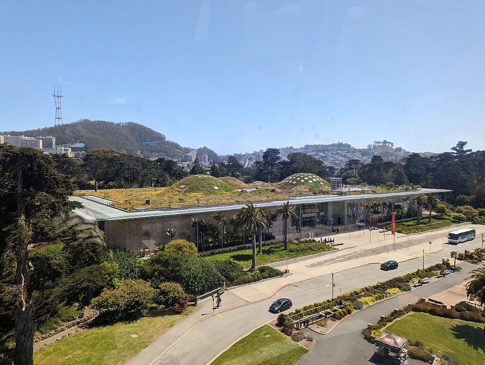California Academy of Sciences, San Francisco