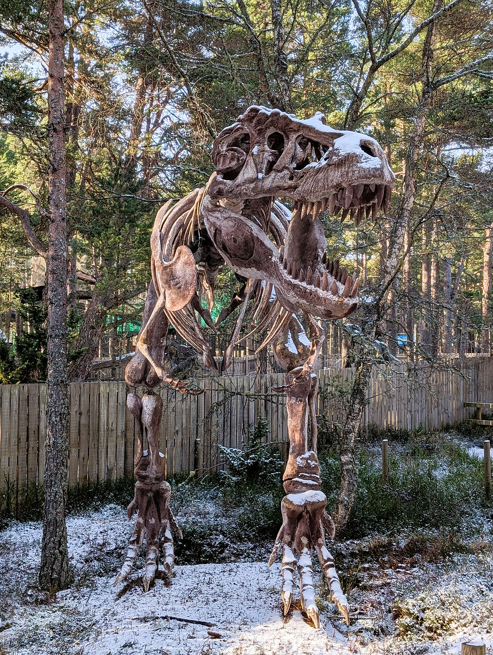 Landmark Forest Adventure Park
