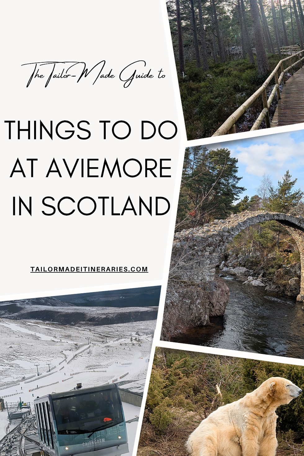 Collage of Aviemore, Scotland: forest boardwalk, stone bridge, snowy mountain with train, and a polar bear. Text: Things to Do in Aviemore.
