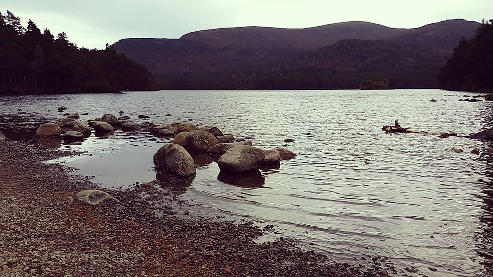 Rocky lakeshore with calm water, framed by a forest and distant hills under an overcast sky. Sparse clouds create a serene, tranquil mood. Things to do at Aviemore in Scotland.