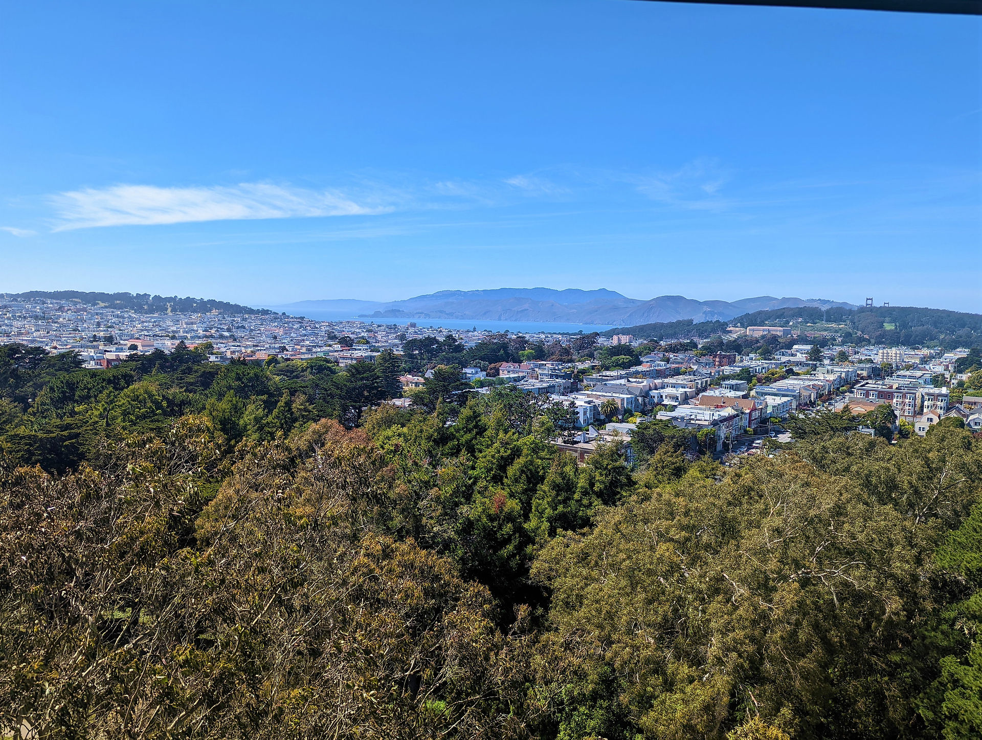 Hamon Observation Tower, de Young Museum, San Francisco Viewpoints