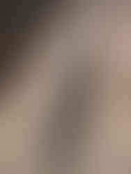 Crocodile Mummy Museum