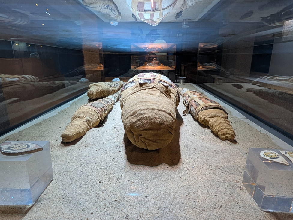 Crocodile Mummy Museum