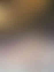 An elaborately painted ceiling in a City Palace room, making it one of the attractions you should visit in Udaipur, India