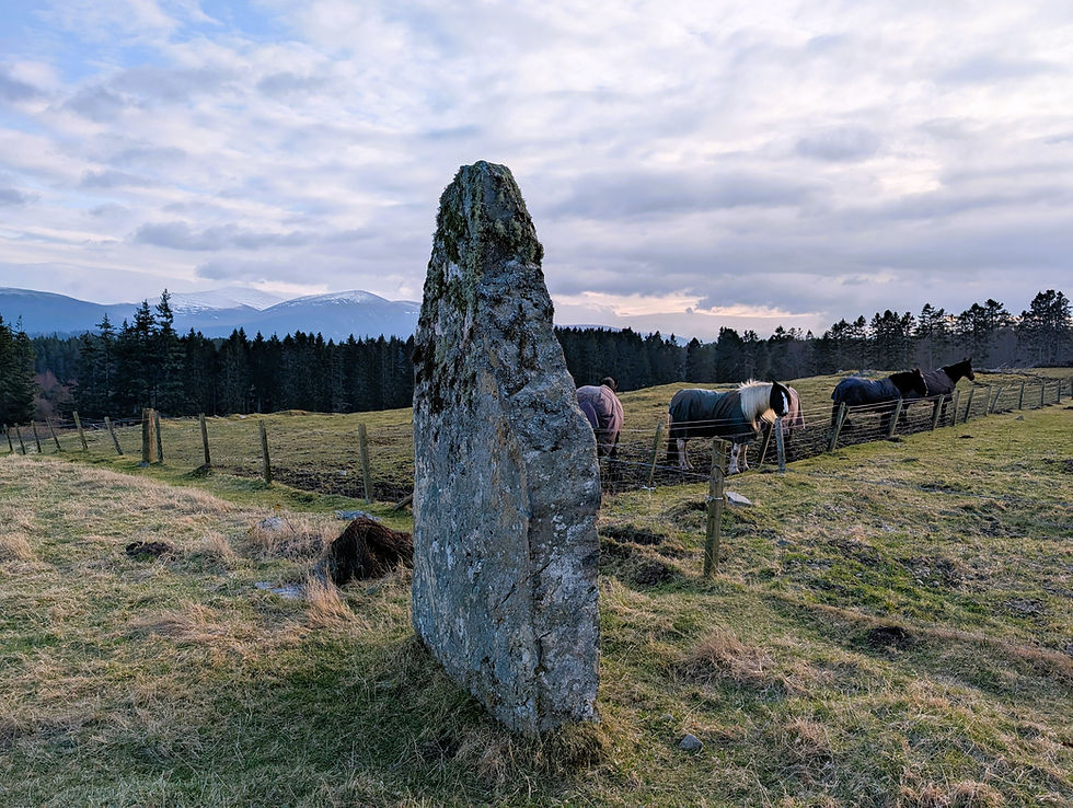 Stone monolith in grassy field, horses grazing beside fence, forest and mountains in background. Cloudy sky, tranquil setting. Things to do at Aviemore in Scotland.