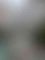 Dev Niwas hotel. Courtyard with a small pool in the middle and columned passageways circling the courtyard, making it one of the attractions you should visit in Bundi, India