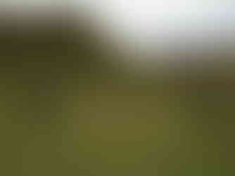 Green landscape with rolling hills which is a perfect place to find the enchanted fairies of Scotland