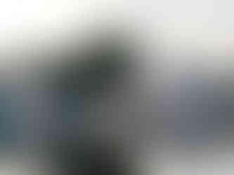 Panels of street art along the banks of Lake Pichola, making it one of the attractions you should visit in Udaipur, India