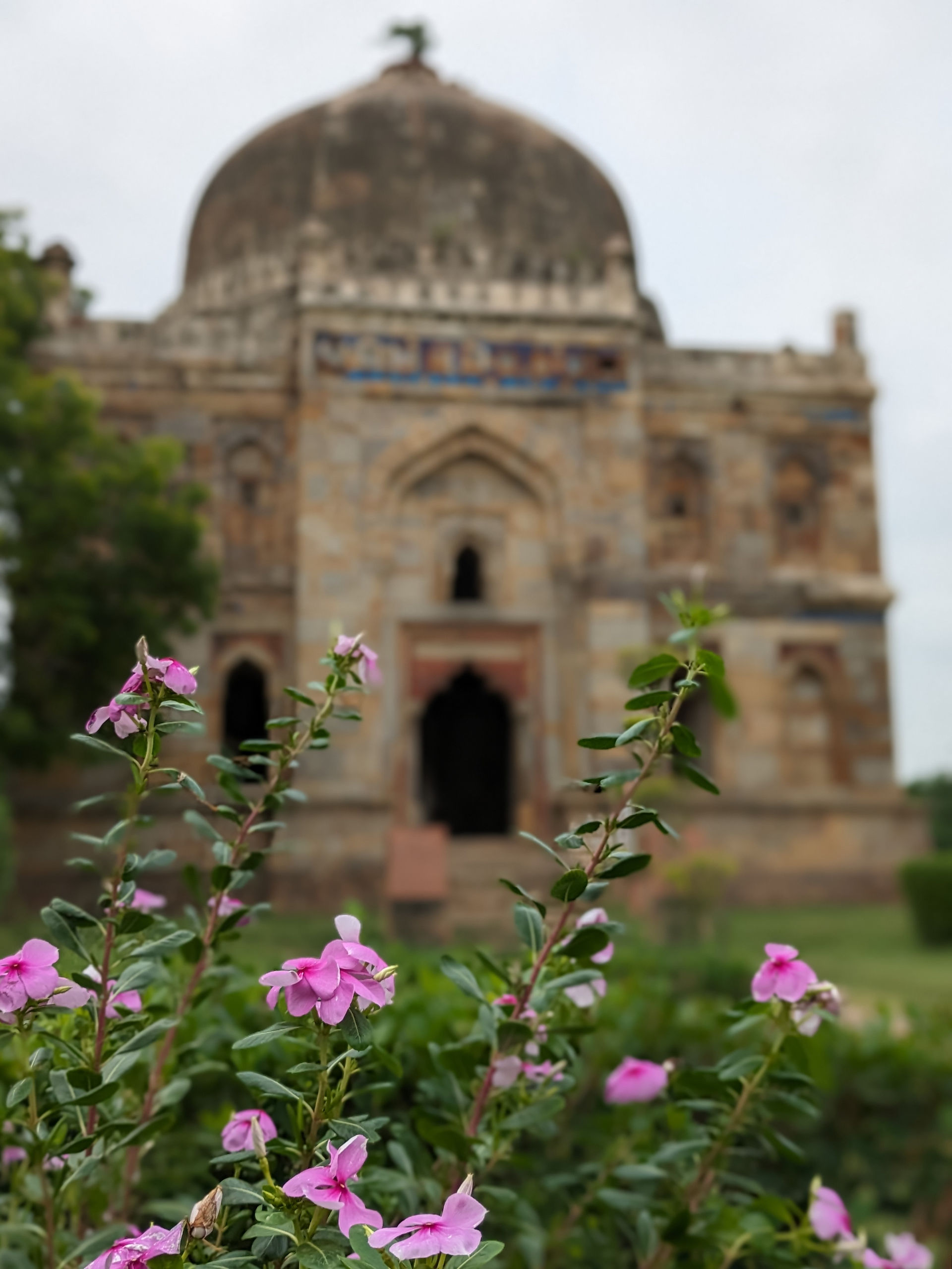 Lodhi Garden, Delhi