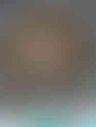 84 Pillered Cenotaph. Inside a stone monument with many columns and a beautifully painted ceiling, making it one of the attractions you should visit in Bundi, India