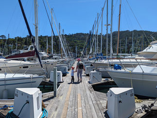 Situated near two of the best hotels in Marin County, this Jetty with several boats docked makes it a pleasant destination for a family day out in Marin County